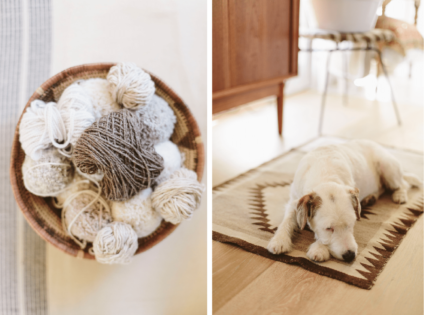 yarn-dog-kate