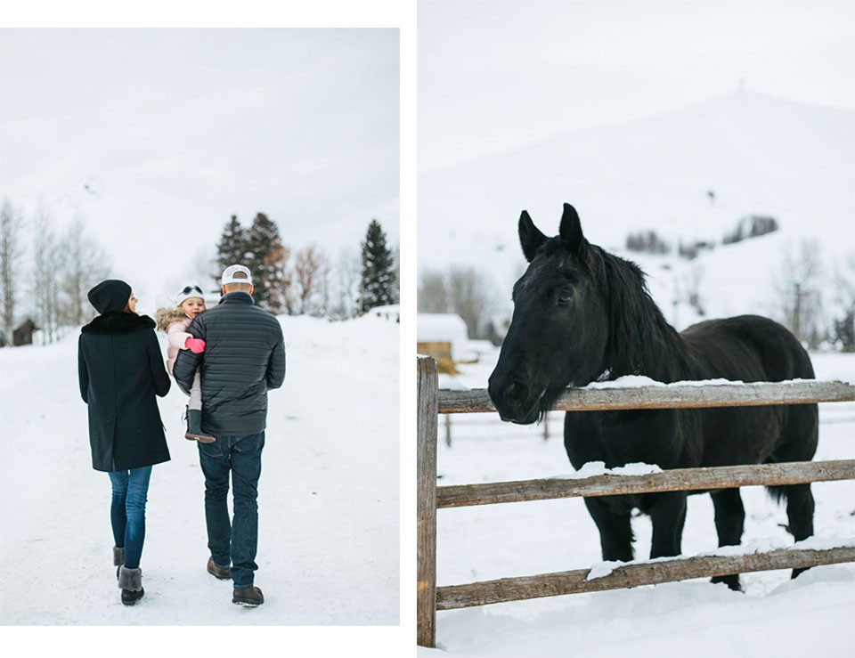 sun-valley-horse-stables