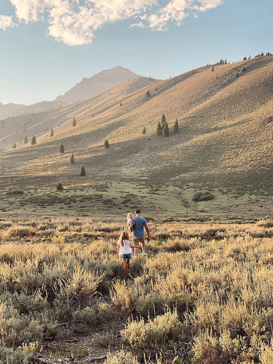 Summer in Magical Sun Valley